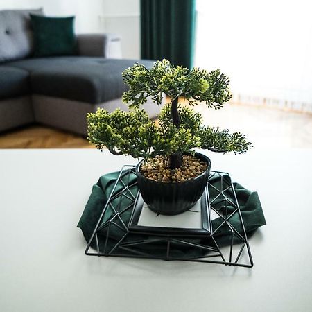Tania Apartament 拉迪亚 外观 照片